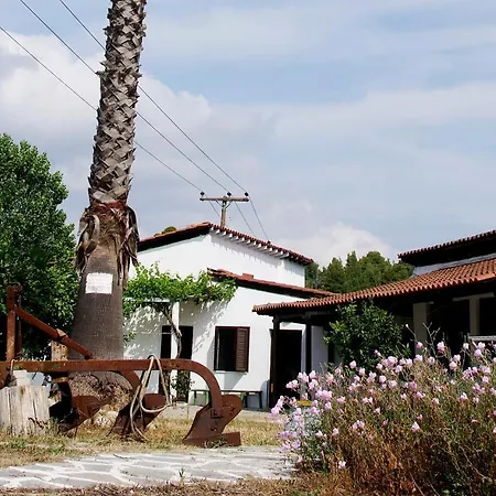 Farma Xorxe Kallithea Halkidikis Kallithea (Chalkidiki)